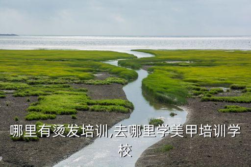 杭州哪里有燙發培訓,去哪里學美甲培訓學校?...